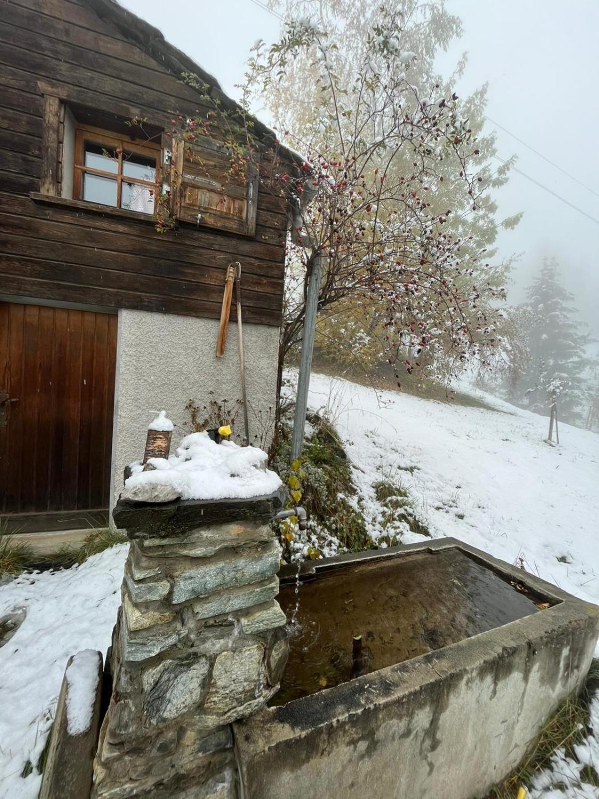 Chalet La Paz With Hotpot And Sauna Villa Torbel Ngoại thất bức ảnh