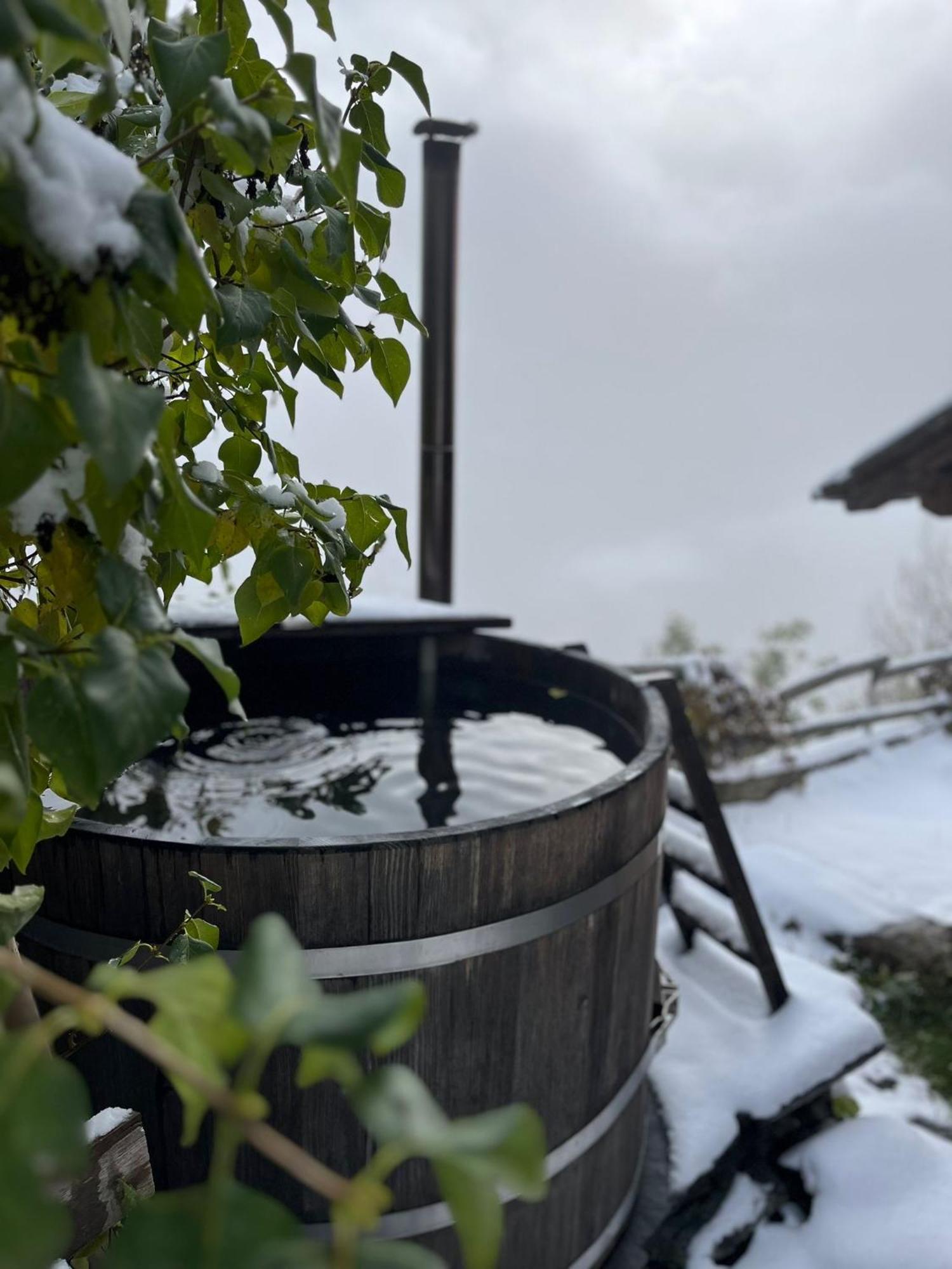 Chalet La Paz With Hotpot And Sauna Villa Torbel Ngoại thất bức ảnh
