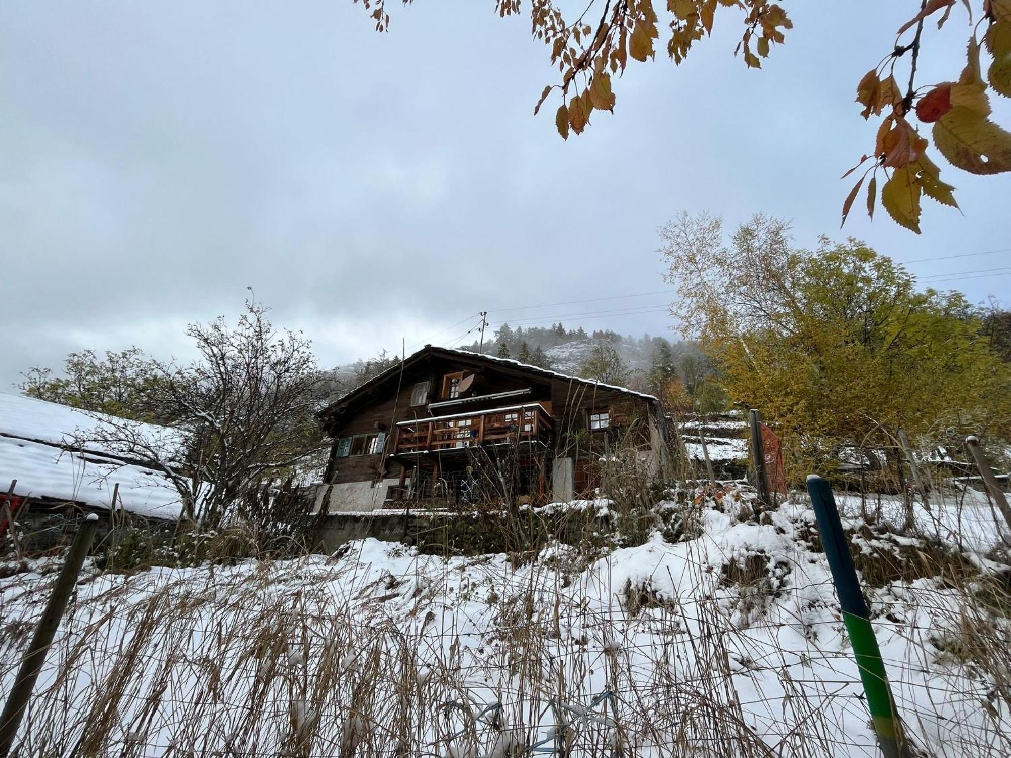 Chalet La Paz With Hotpot And Sauna Villa Torbel Ngoại thất bức ảnh